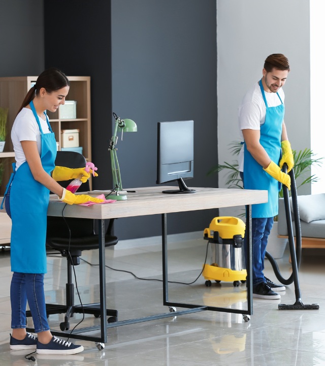 cleaning professionals